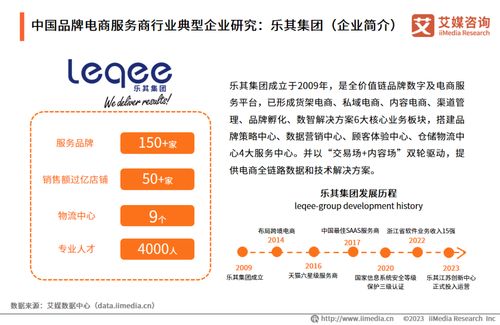 2023年中國品牌電商服務(wù)商行業(yè)研究報(bào)告 社會(huì)經(jīng)濟(jì)咨詢服務(wù)洞察